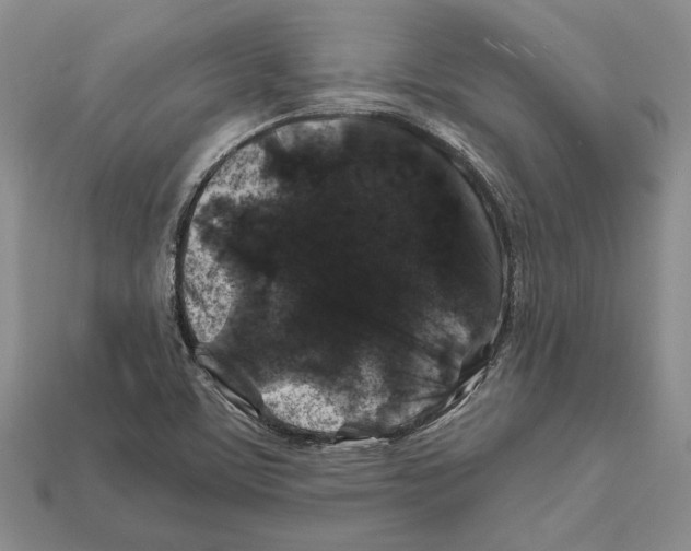 X0000112211459200909181544