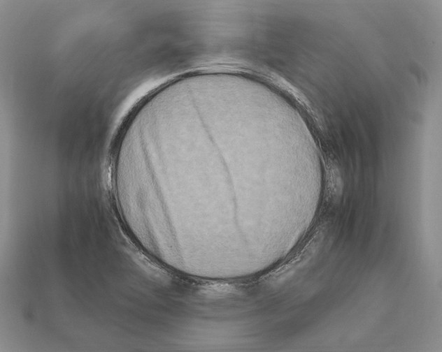 X0000112211462200909181544