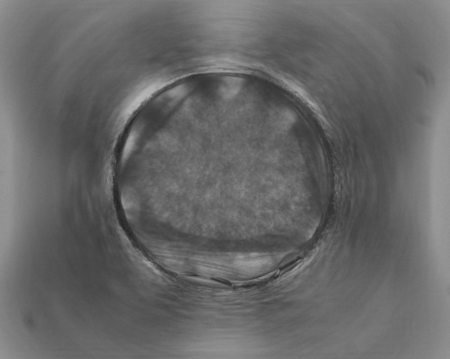 X0000112211463200909181544