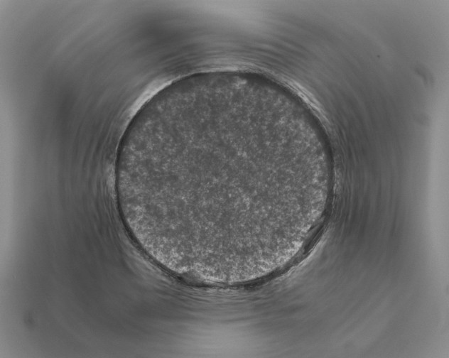 X0000112211465200909181544