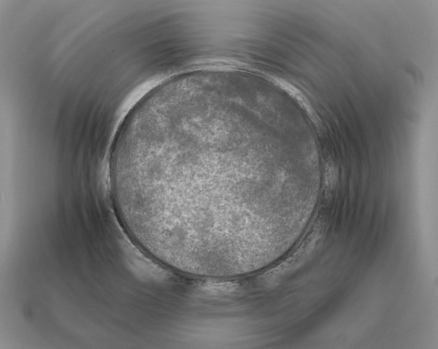 X0000112211466200909181544