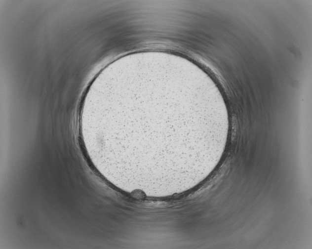 X0000112211467200909181544