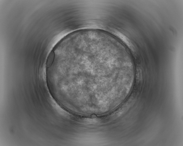 X0000112211468200909181544