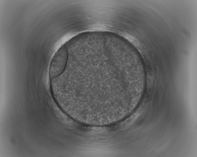 X0000112211469200909181544
