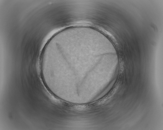 X0000112211470200909181544