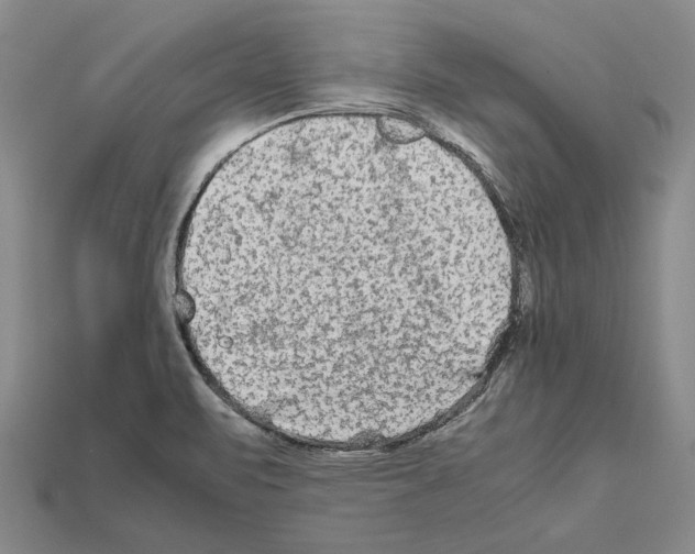 X0000112211471200909181544