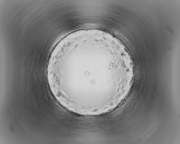 X0000112211473200909181544