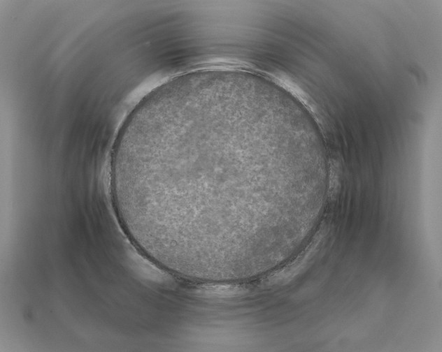 X0000112211474200909181544