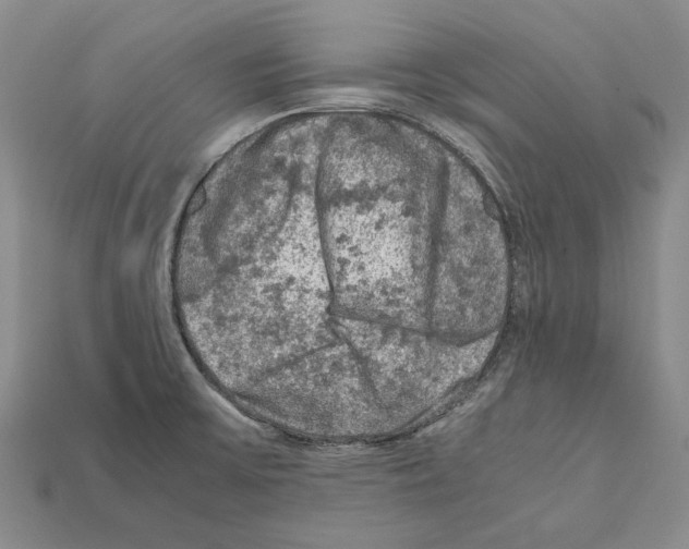 X0000112211475200909181544