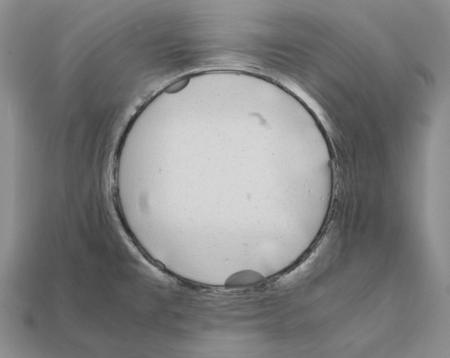 X0000112211477200909181544