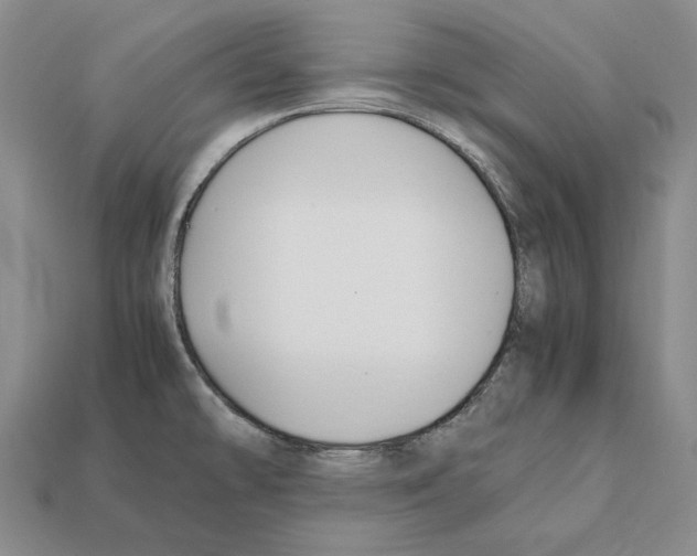 X0000112211478200909181544