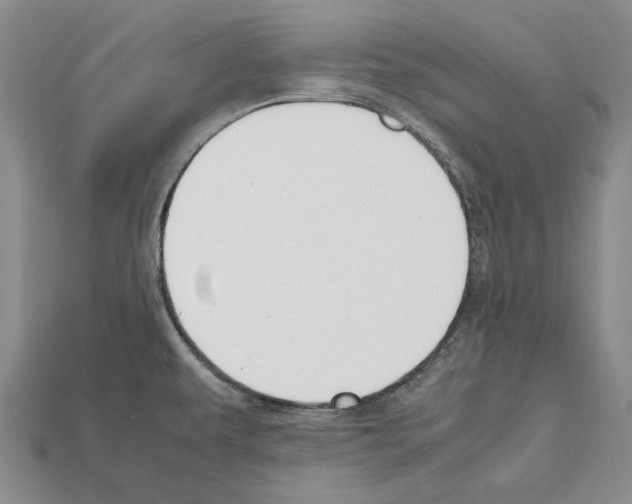 X0000112211479200909181544