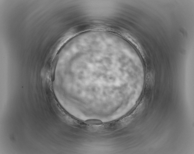 X0000112211481200909181544