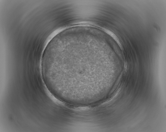 X0000112211482200909181544