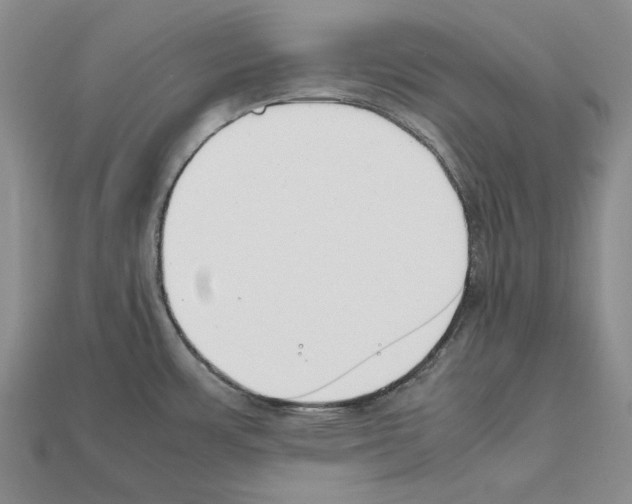 X0000112211483200909181544
