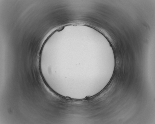 X0000112211484200909181544