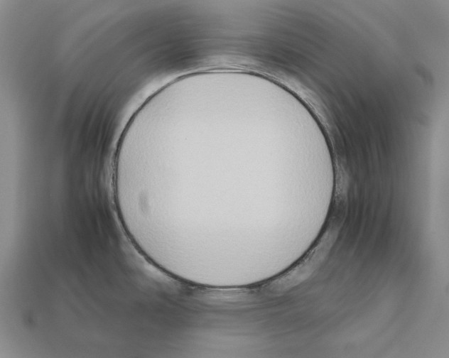X0000112211486200909181543