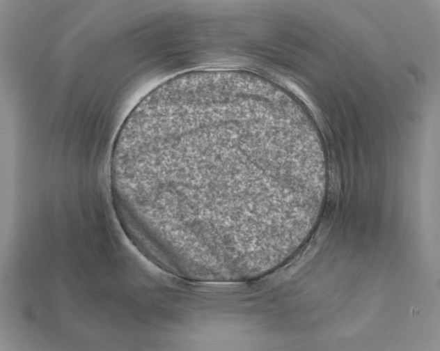 X0000112211487200909181543
