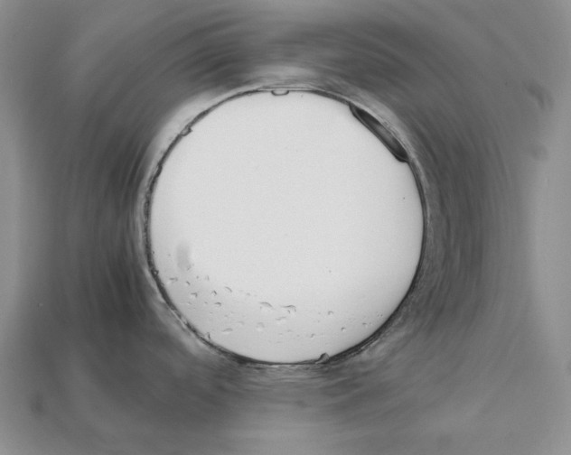 X0000112211488200909181543