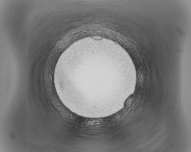 X0000112211489200909181543