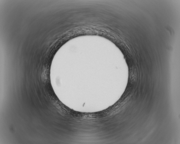 X0000112211490200909181543