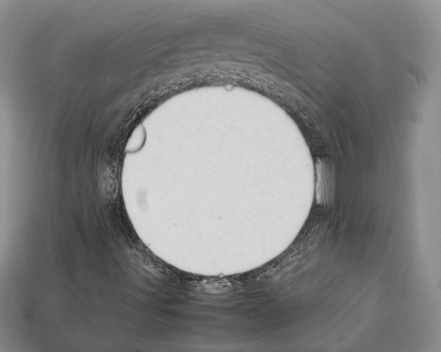 X0000112211491200909181543