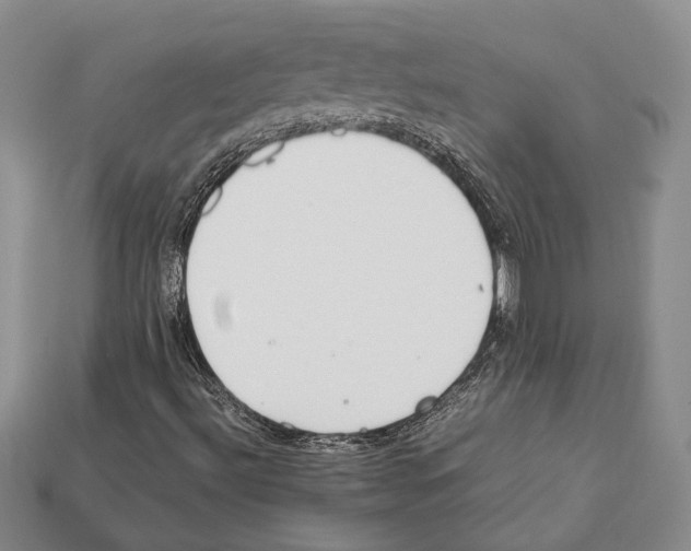 X0000112211492200909181543