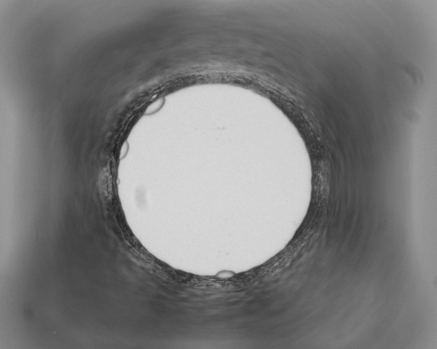X0000112211493200909181543