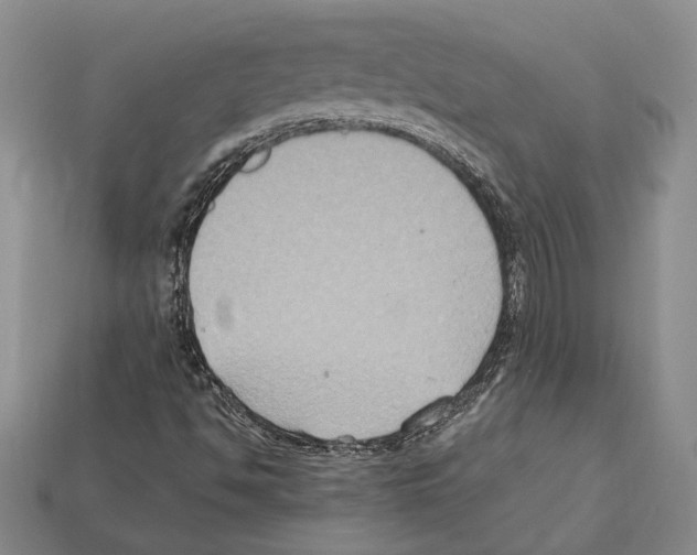 X0000112211494200909181543