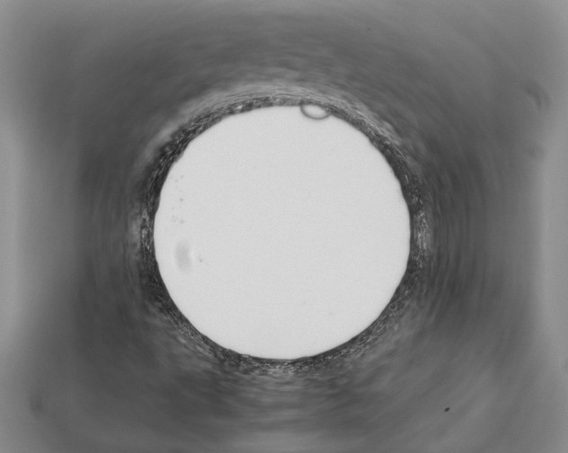 X0000112211495200909181543