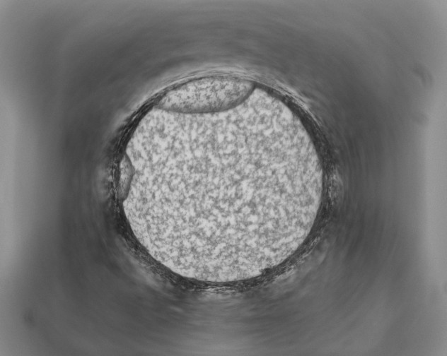 X0000112211496200909181543