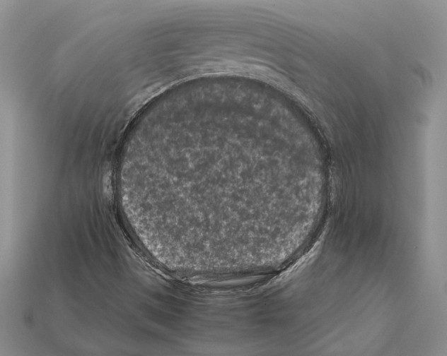 X0000112211497200909181543