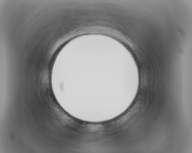 X0000112211498200909181543
