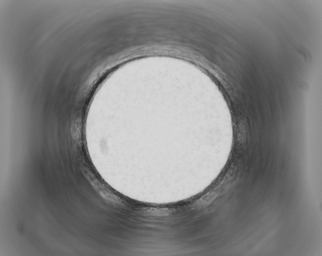 X0000112211499200909181543