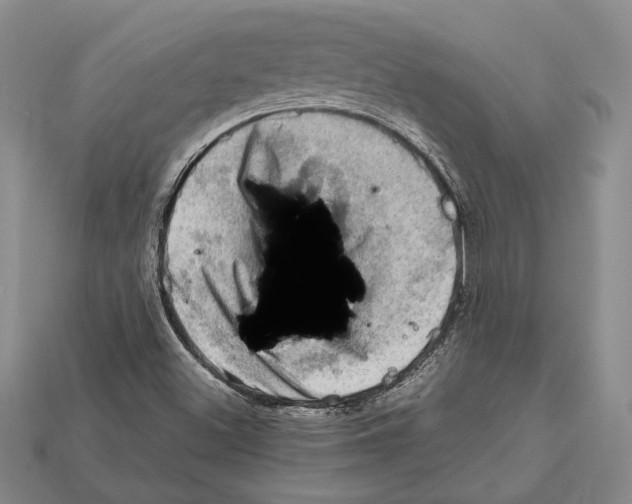 X0000112211500200909181543
