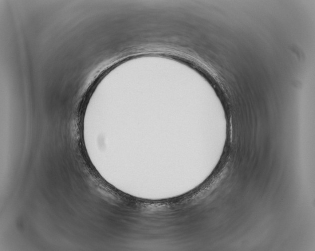 X0000112211501200909181543