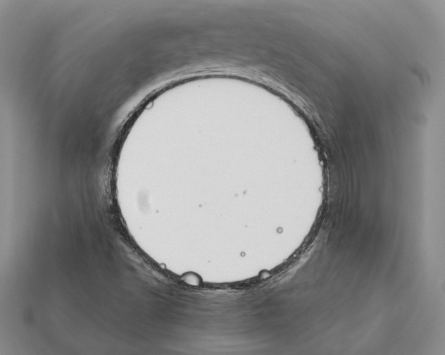 X0000112211502200909181543