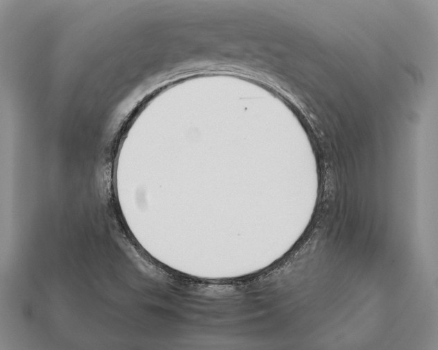 X0000112211503200909181543
