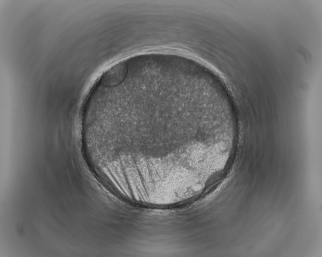 X0000112211506200909181543