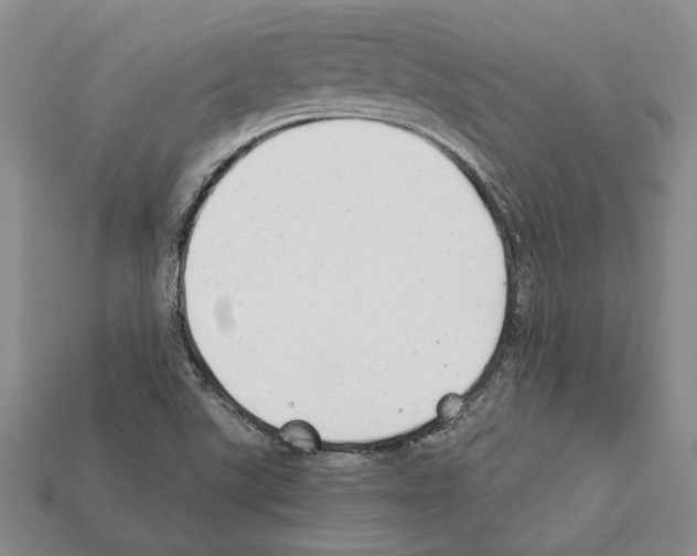 X0000112211507200909181543