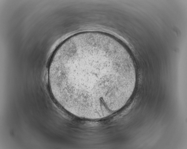 X0000112211509200909181543