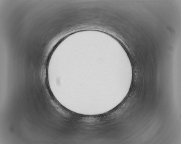 X0000112211511200909181543