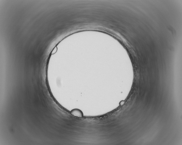 X0000112211512200909181543