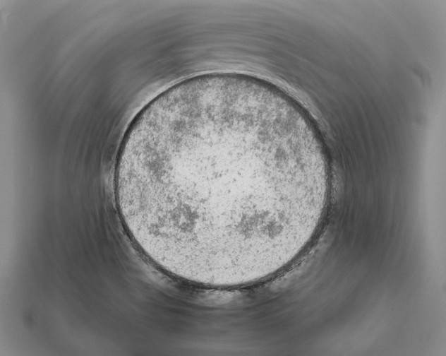 X0000112211513200909181543