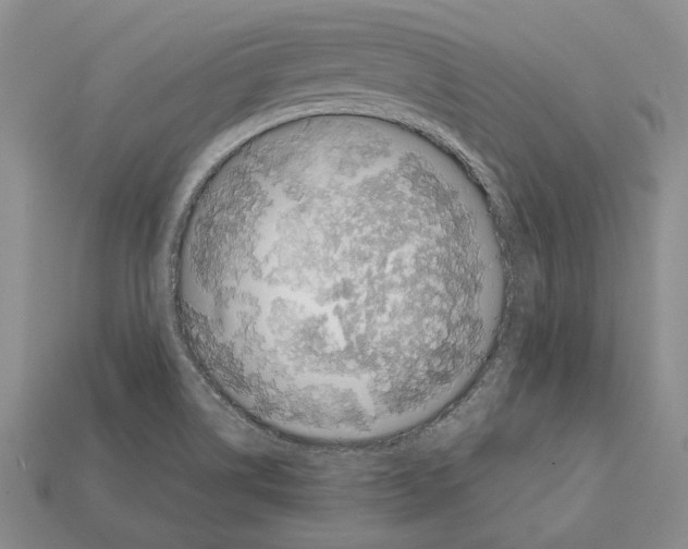 X0000112211514200909181543