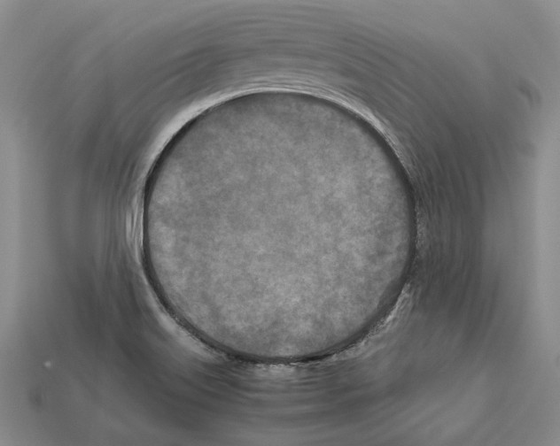 X0000112211515200909181543