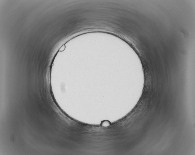 X0000112211516200909181543
