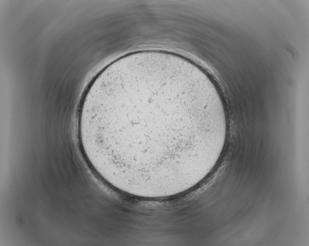 X0000112211517200909181543
