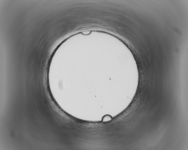 X0000112211518200909181543