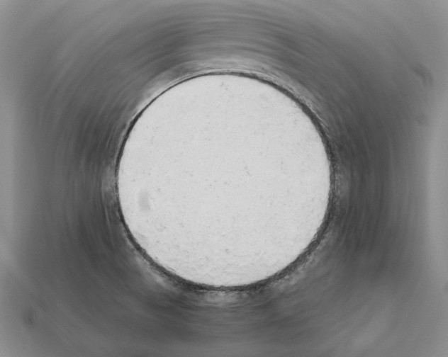 X0000112211521200909181543